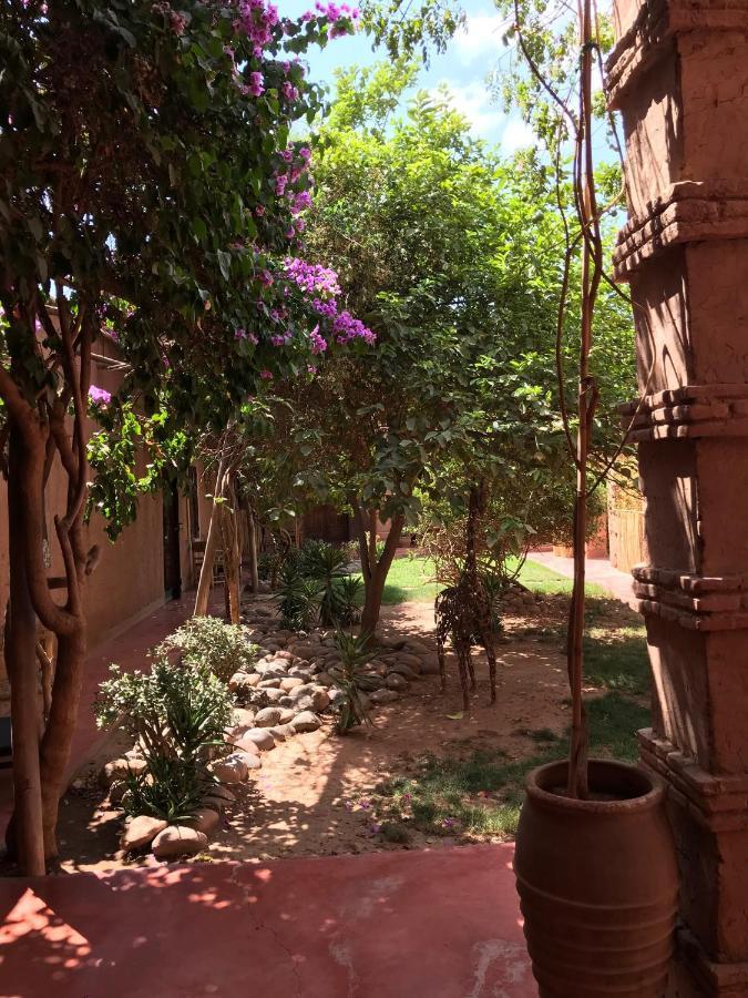 مبيت وإفطار Douar Sidi Moussa La Ferme Berbere Adult Only المظهر الخارجي الصورة