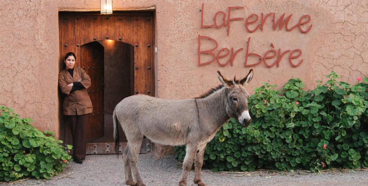 مبيت وإفطار El Harkat La Ferme Berbere Adult Only المظهر الخارجي الصورة
