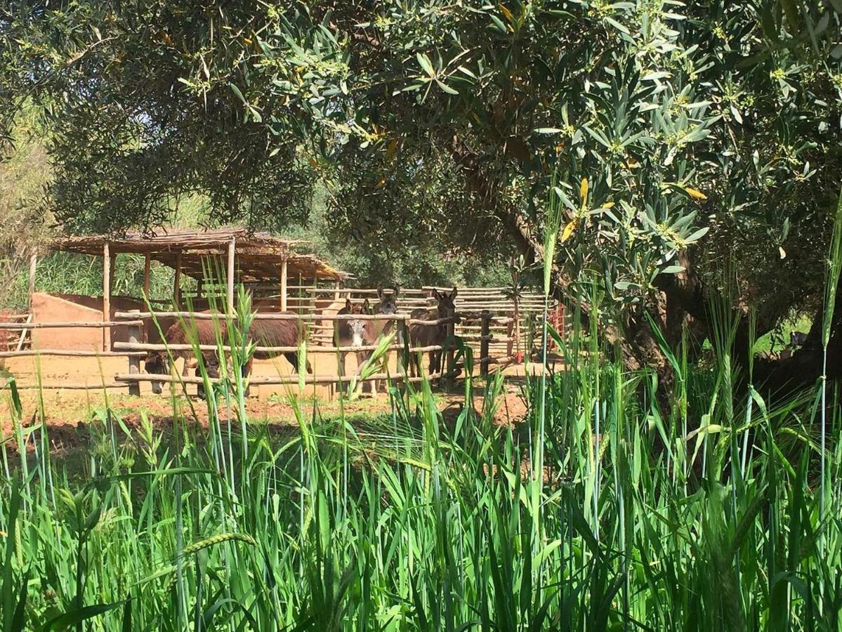 مبيت وإفطار El Harkat La Ferme Berbere Adult Only المظهر الخارجي الصورة