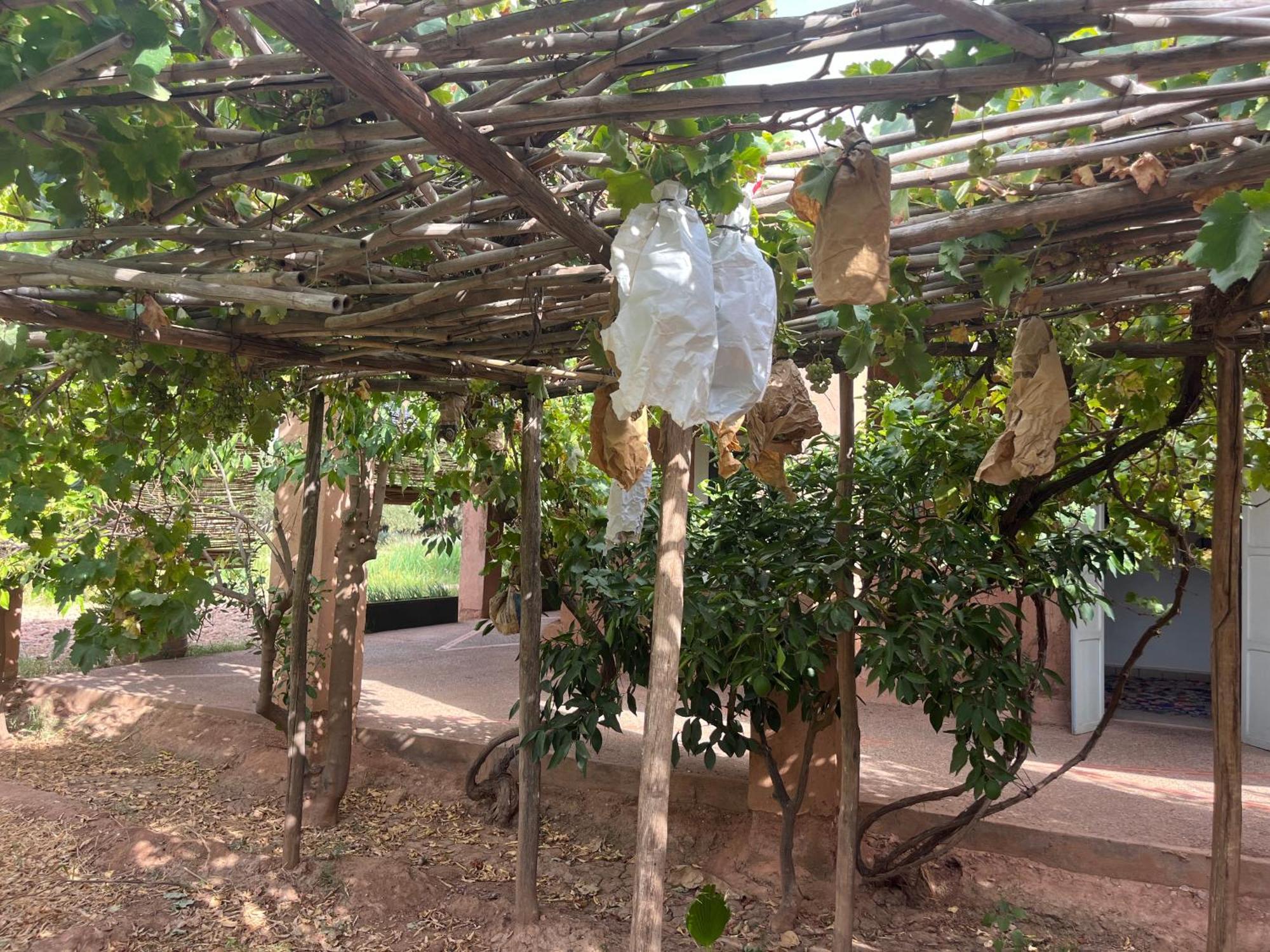 مبيت وإفطار El Harkat La Ferme Berbere Adult Only المظهر الخارجي الصورة