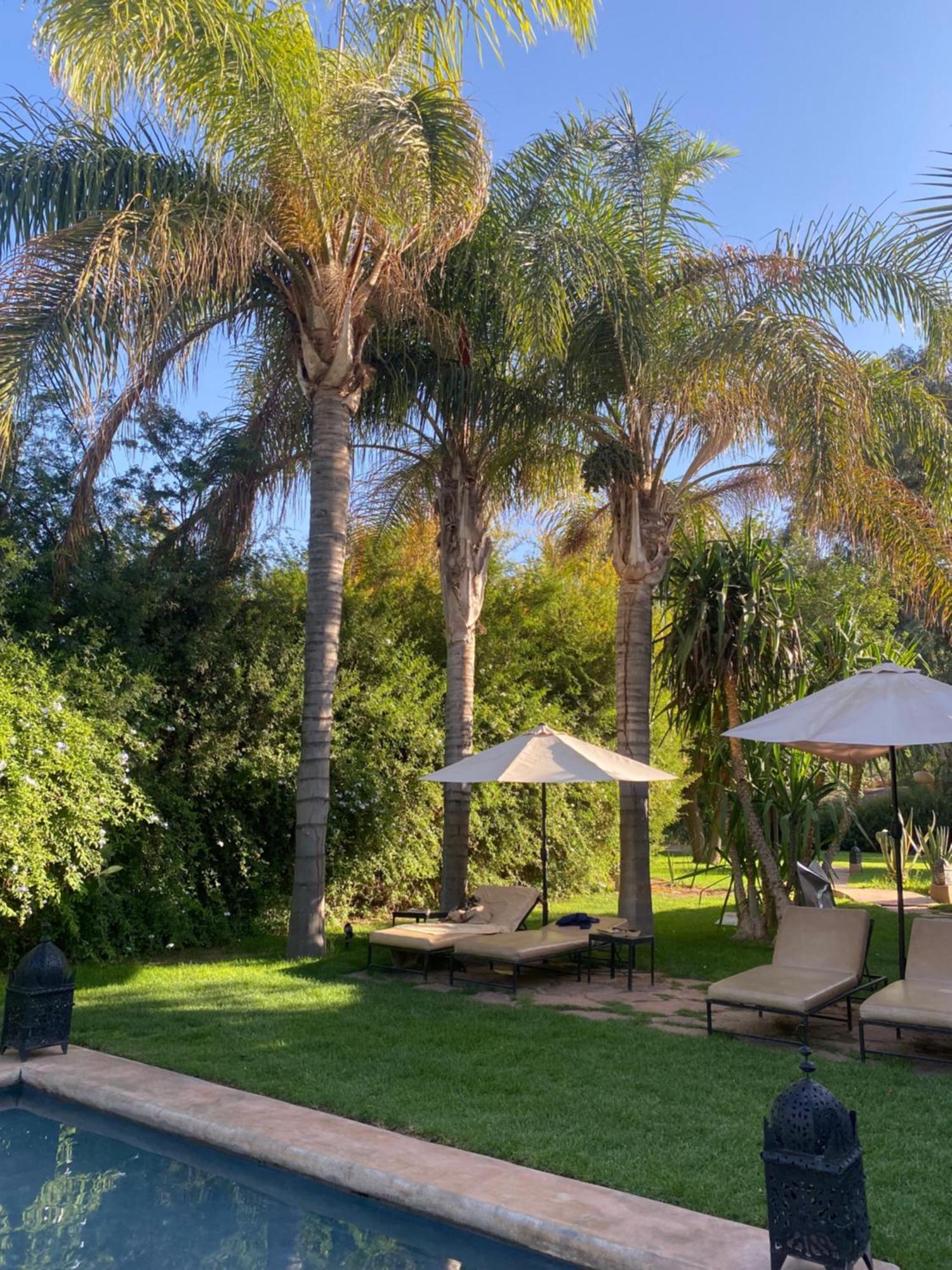 مبيت وإفطار El Harkat La Ferme Berbere Adult Only المظهر الخارجي الصورة